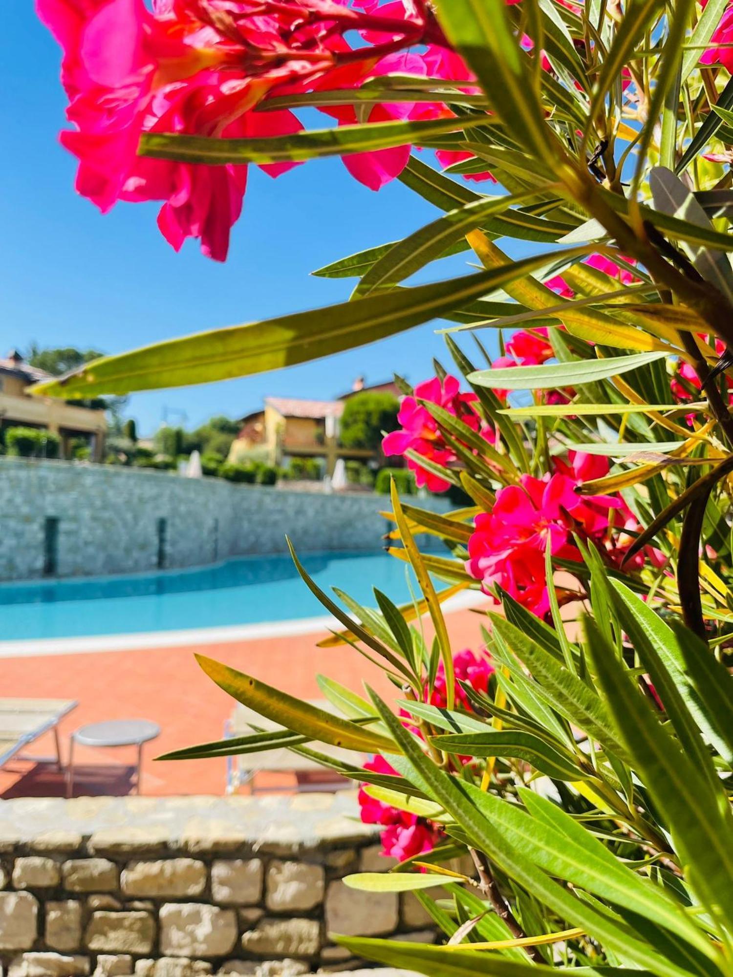 Ferienwohnung Borgo Del Torchio - Gardagate Manerba del Garda Exterior foto